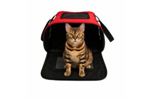 bolsa para cachorro cabine avião aprovada companhia aérea