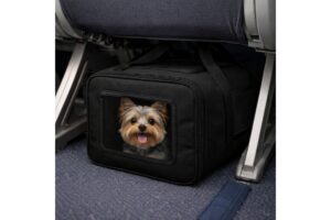 bolsa para cachorro cabine avião aprovada companhia aérea